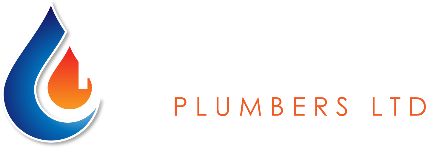 Professional Plumbers - Logo